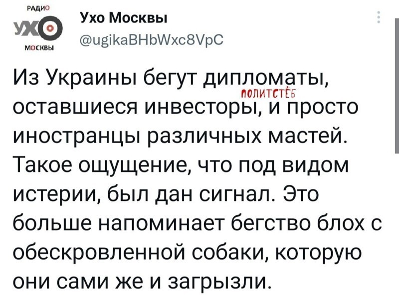 О политике и не только