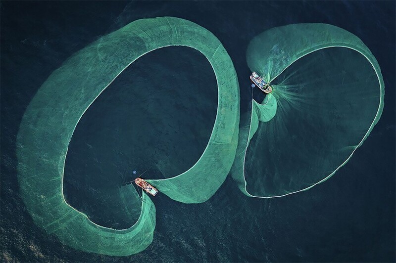 «Фонд спасения наших морей», Фотограф года по охране морской среды 2022 года: Хороший аппетит. © Тьен Нгуен Нгок/UPY 2022