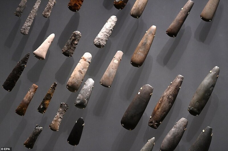 Образцы инструментов, вырезанных британцами эпохи неолита