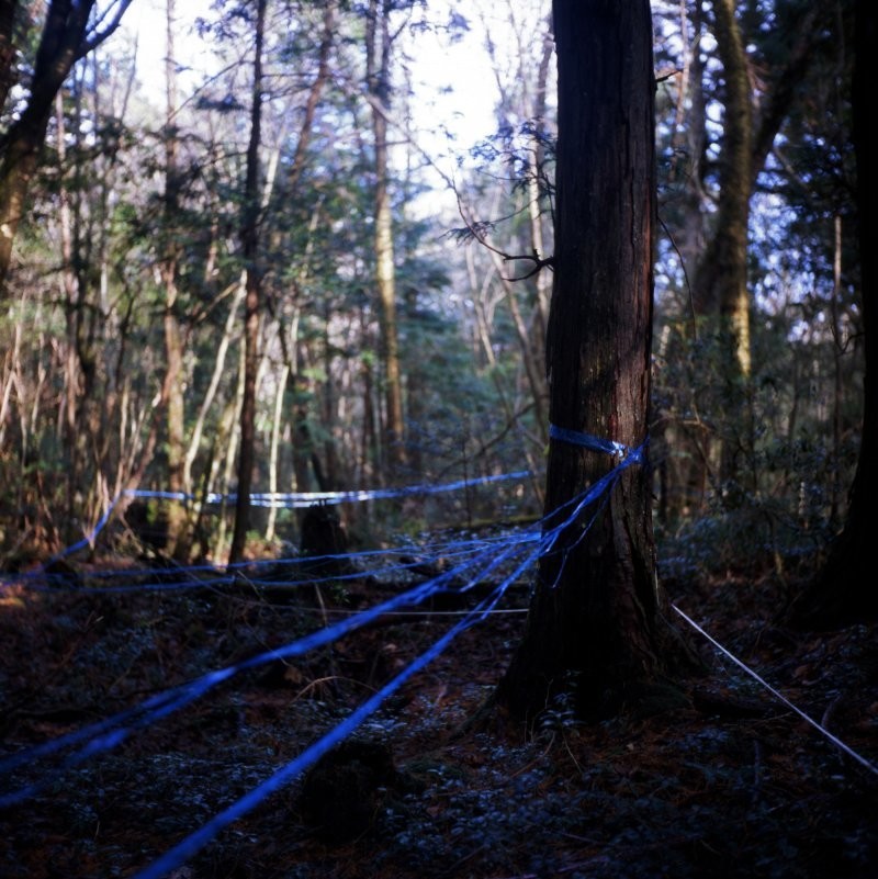 Лес самоубийц: самое мрачное место на земле