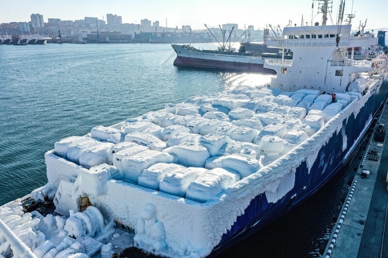 Партия авто из Японии превратилась в ледяные скульптуры в Японском море