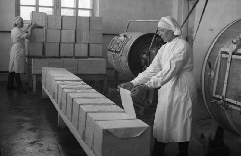 Упаковка Вологодского масла на Абакановском маслозаводе Череповецкого района. 1950 год.