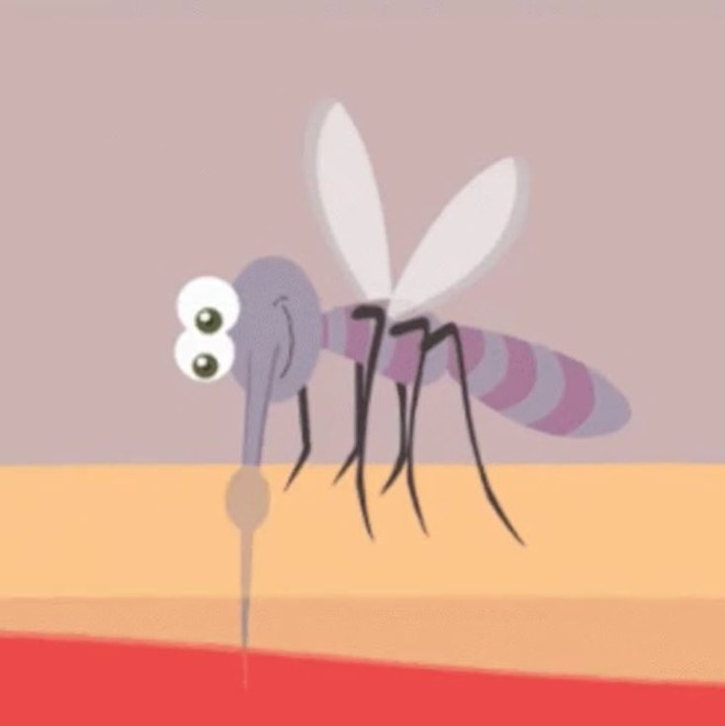 3. «Звуки комара».