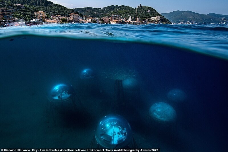 Сад Немо - подводная ферма на побережье Ноли в Италии. На глубине от 6 до 9 метров находятся биосферы, в которых выращивают сельскохозяйственные культуры. Фотограф Giacomo d'Orlando