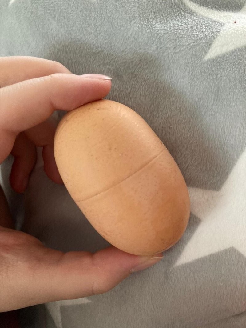 Это самое настоящее яйцо, а напоминает яйцо из киндер-сюрприза