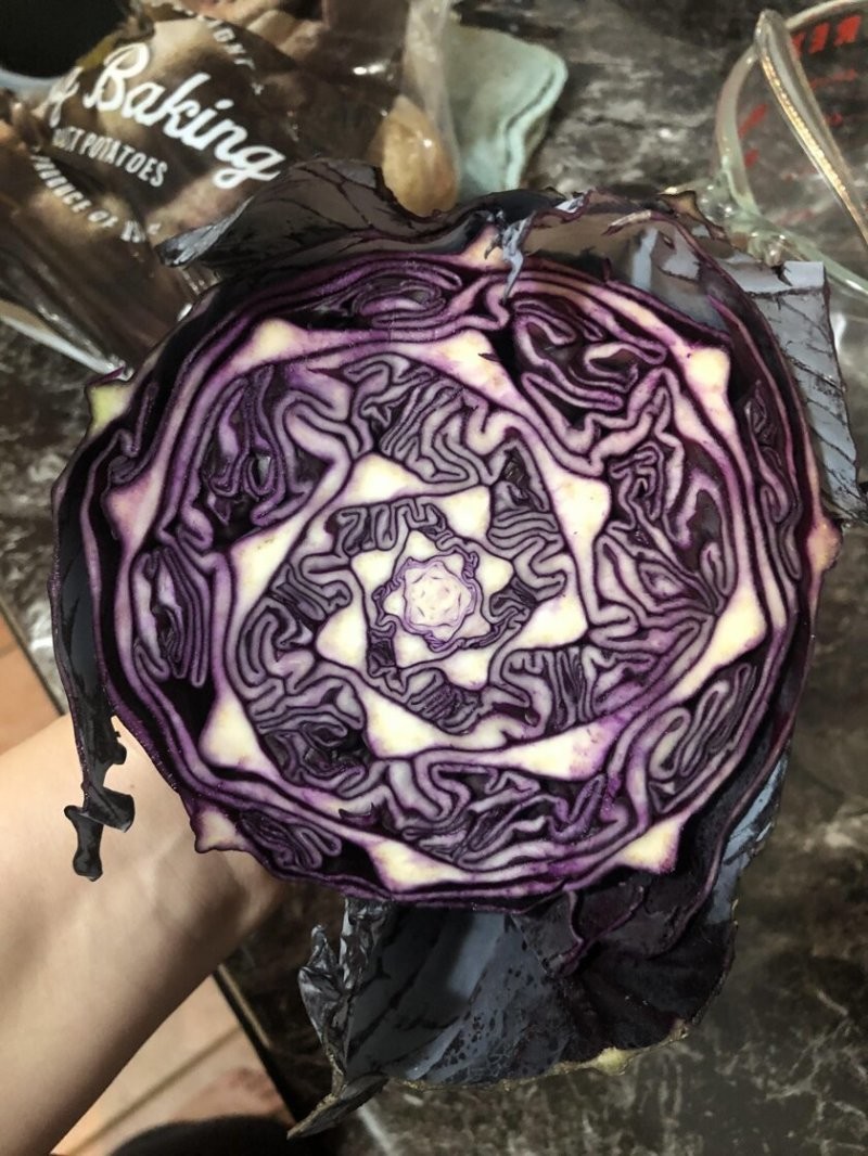 Просто идеальный узор внутри фиолетовой капусты