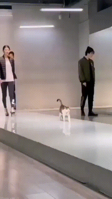 Еще одна модель нарисовалась