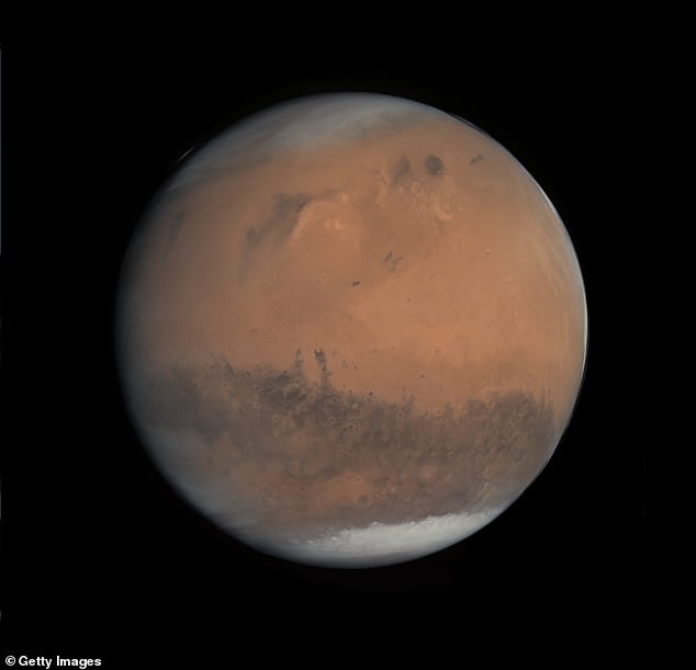 Веганы на Марсе: марсианским колонистам придется придерживаться веганской диеты