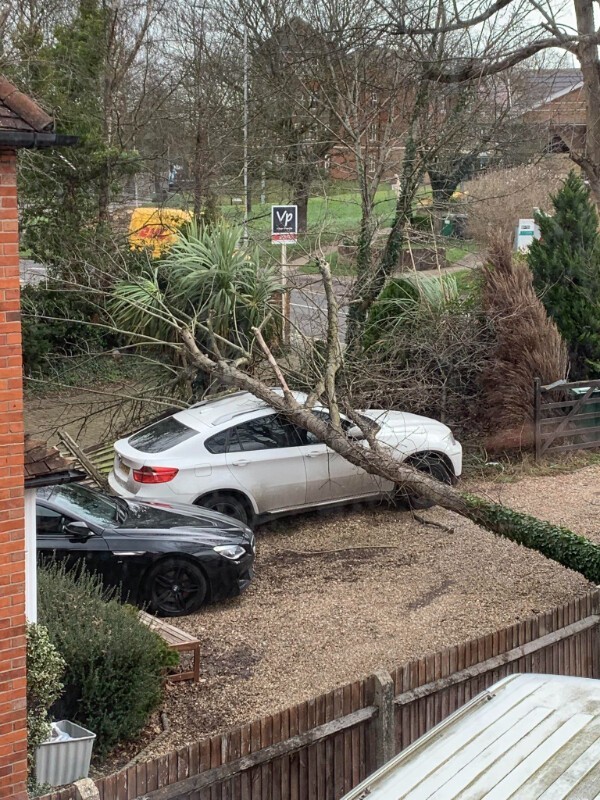 "Если дерево с моего участка упало на машину соседа, кто кому должен платить?"