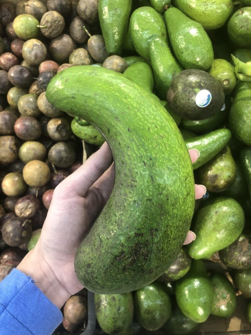 Размер авокадо, продающегося во Вьетнаме 