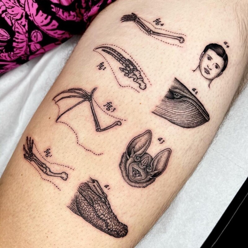 Татуировки, вдохновленные научными и необычными сюжетами