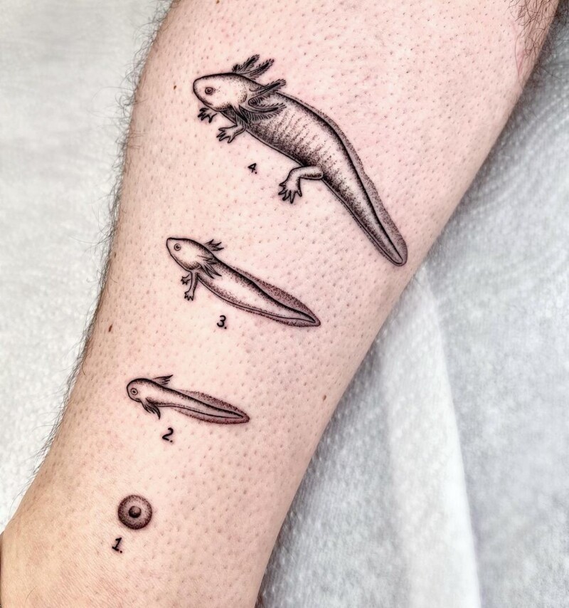 Татуировки, вдохновленные научными и необычными сюжетами