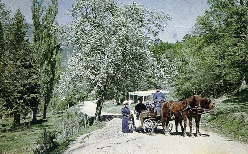 Крымская весна. Фото Петр Веденисов, апрель 1910 года, Крым, г. Алупка