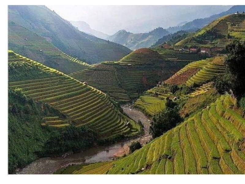 Рисовые поля к северу от Вьетнама