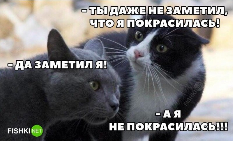 woman moment