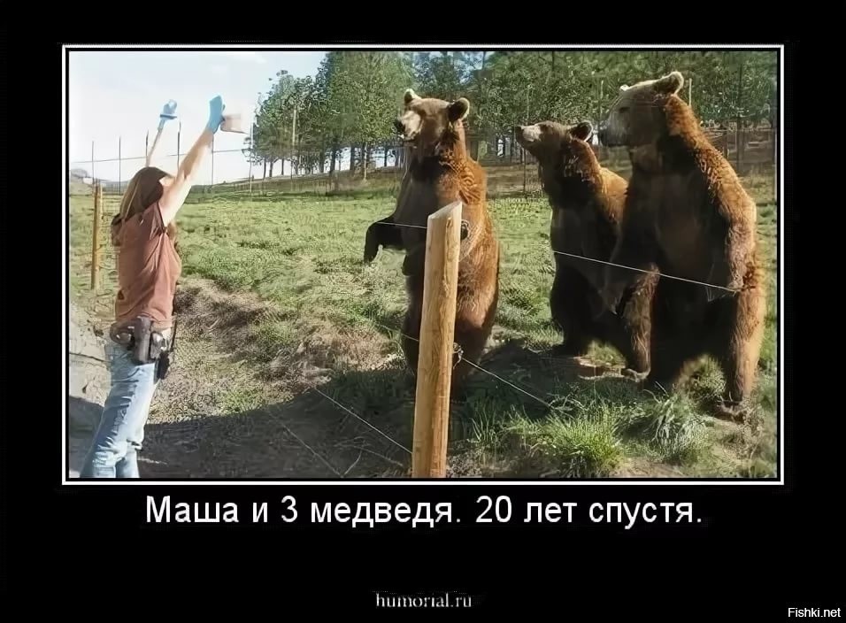 Картинка где маша медведей к стене прибивает