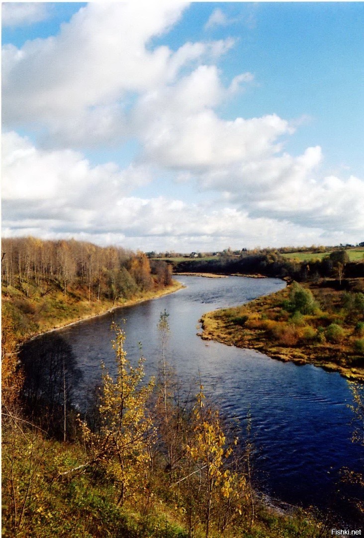 Река мста новгородская область фото