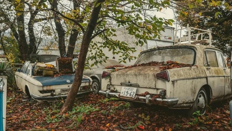 Красиво, но грустно: «кладбище» забытых автомобилей в Японии