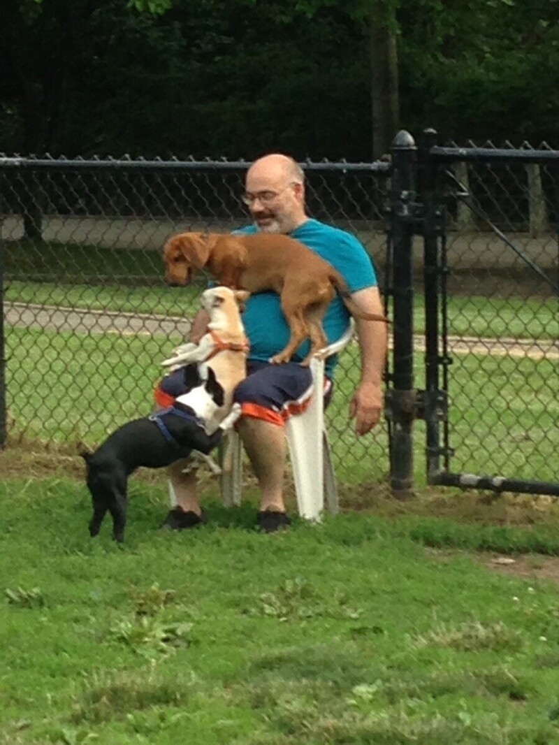 Мой папа любимец всех собак на площадке