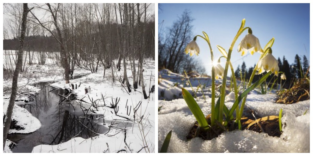 Аллергия на таяние снега. Приближение весны. Приближение весны картинки.