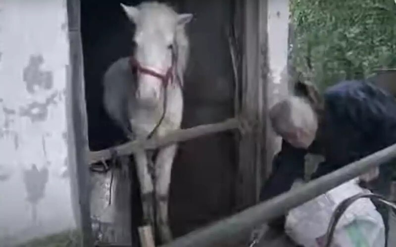 Мужчина из Китая десятилетиями заботится о покалеченных животных