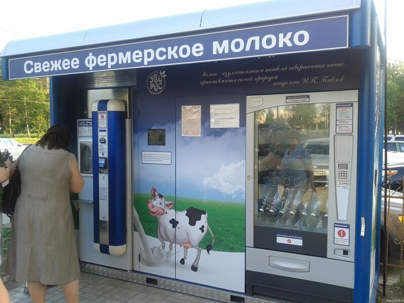 Ностальгическая новость: в Госдуме предложили продавать молоко в бидонах