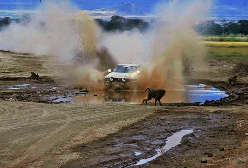 Раллийный автомобиль Toyota Celica TwinCam Turbo TA64 мчится, разгоняя обезьян, в ралли Safari 4–8 апреля 1985 г. Юго-Восточная Африка
