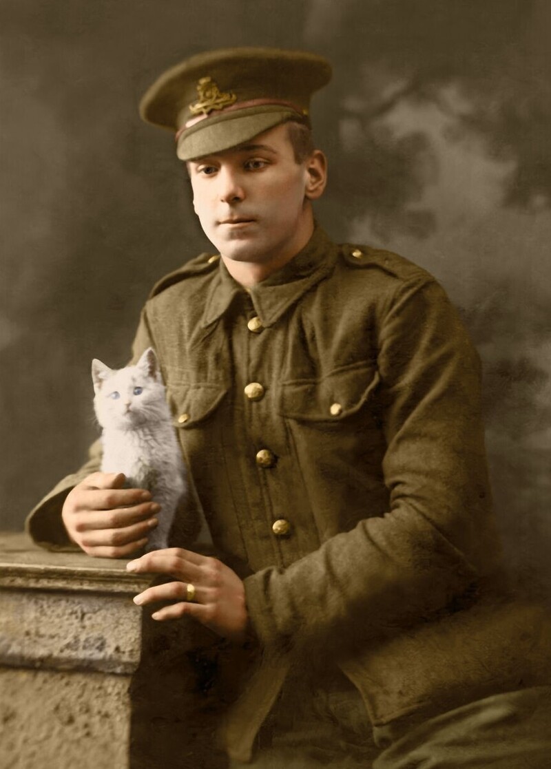 Солдат и его кошка, 1917 год
