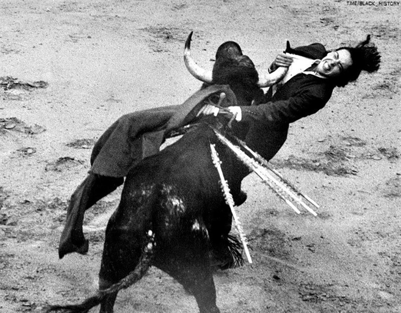 Бык ранит женщину-матадора. Мексика, 1954 год