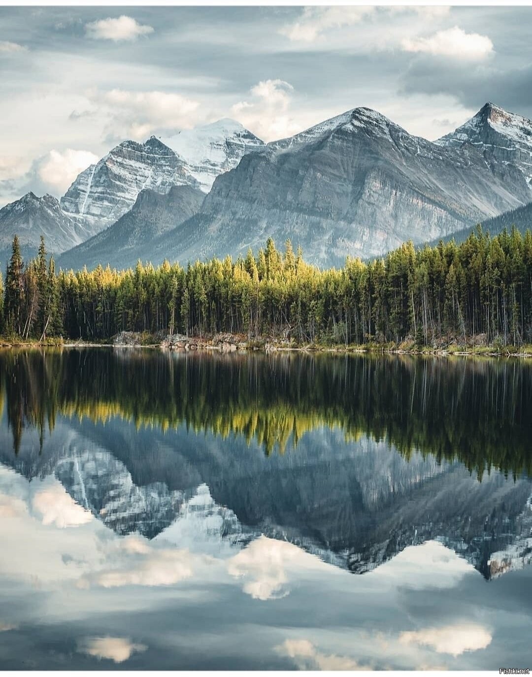 Канада. Icefields Parkway Канада. Канада горы Кордильеры. Канада урмонлари. Канадские Рокиз.