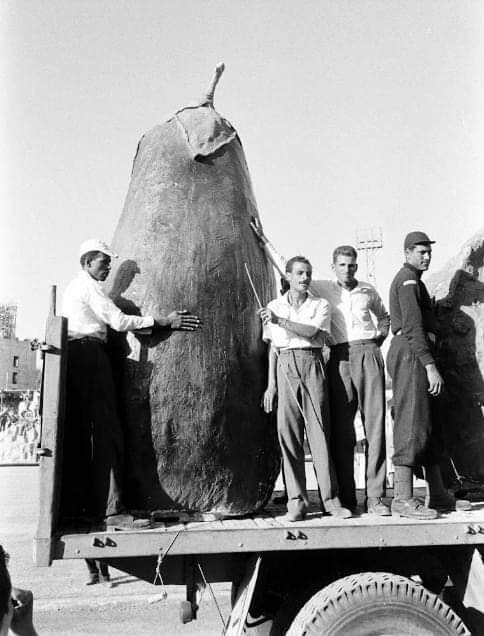 Огромный баклажан, Египет, 1956 год