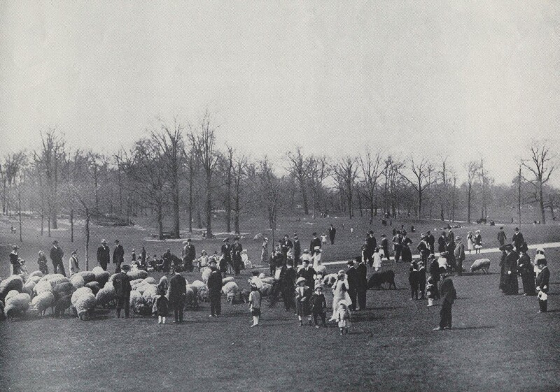 Дети и взрослые гуляют возле отары овец на лугу в Центральном парке в Нью-Йорке. Снимок сделан приблизительно в 1900 – 1910 годах.