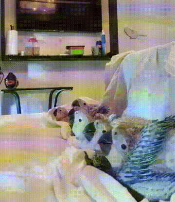 Всем поцелуйчики