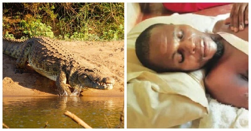 Житель Зимбабве чудом пережил жестокое нападение крокодилов