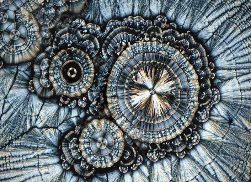 Как фантастично выглядят обычные вещи под микроскопом