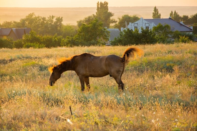 Велопрогулка с фотоаппаратом