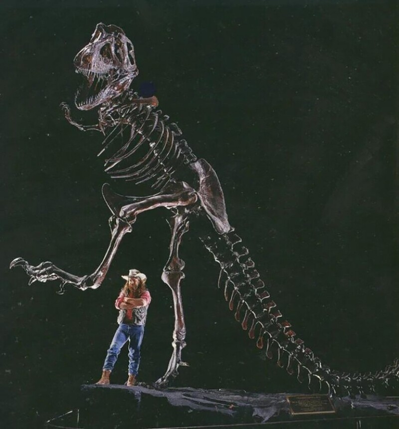 Доктор Роберт Т. Баккер, палеонтолог, со скелетом тираннозавра рекс. 1990-е годы