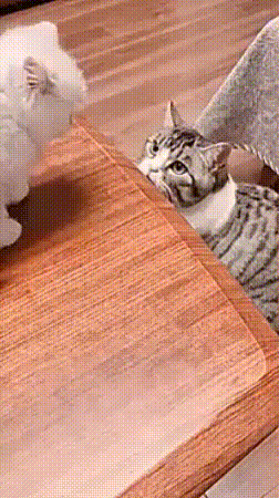 С добрым утром! С добрым утром!