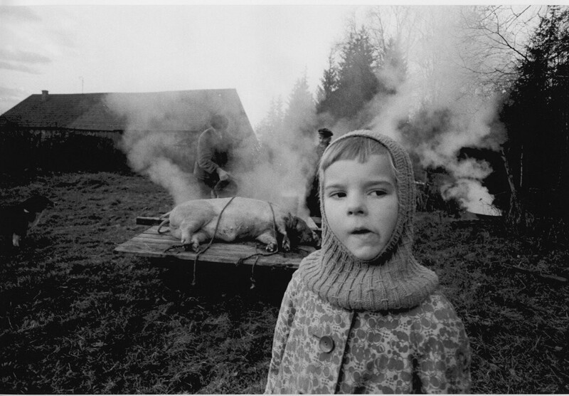 В деревне. Латвия, 1968 год.