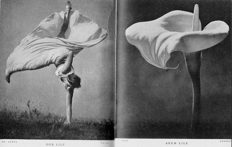 Фотопостановка ....Наша Лили и Арум Лилия... от Стефана Лоранта. Американская танцовщица Мэри Луиза Фуллер и цветок. 1937 год.