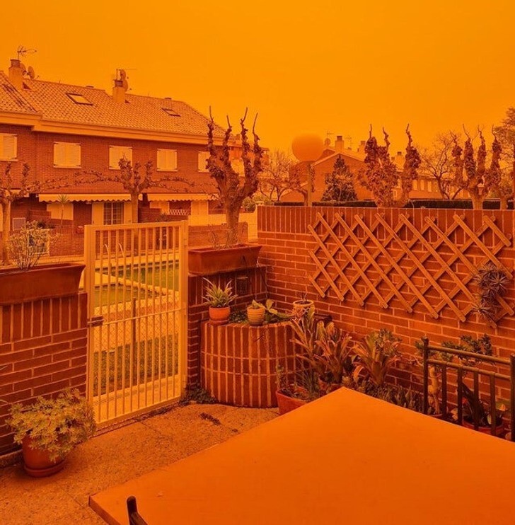 16. «Сегодня небо в Мурсии, Испания, стало оранжевым из-за пыли из Сахары»