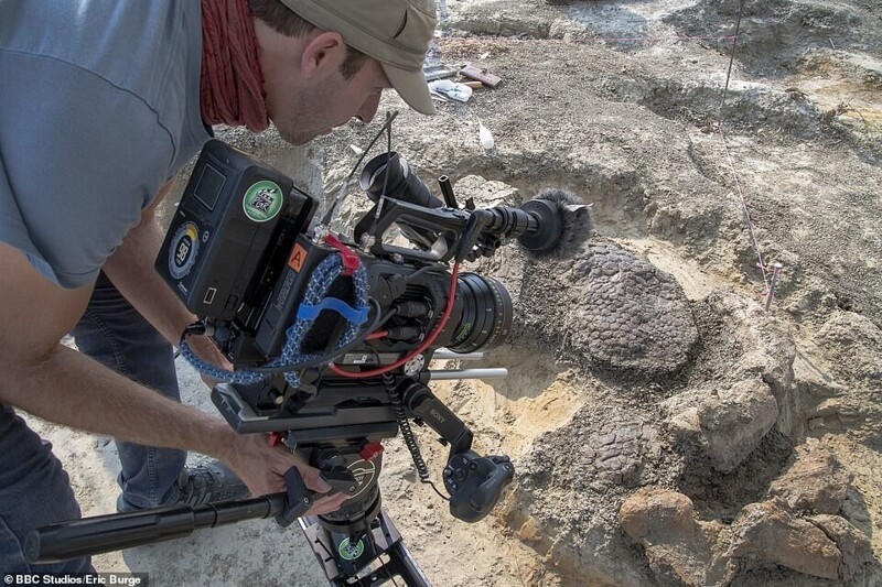 Ученые нашли древние останки, датированные днём гибели динозавров