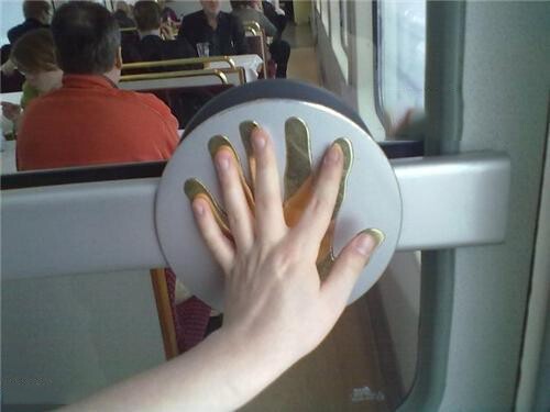 У многих ли людей 6 пальцев на руке?