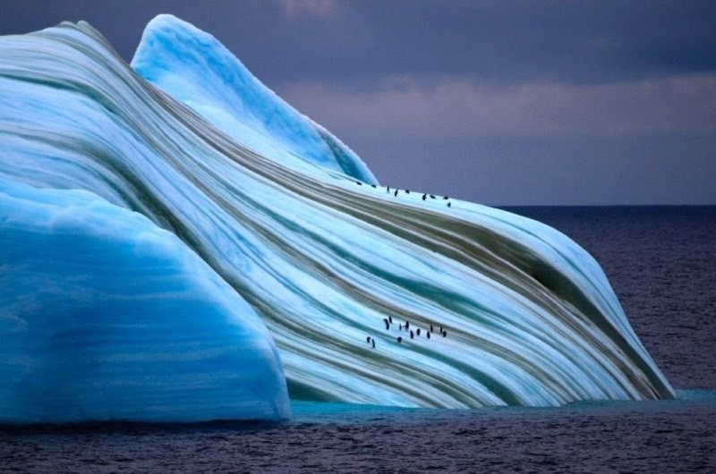 Зелёный, чёрный, голубой, лёд выбирай себе любой: откуда в Антарктиде разноцветные льдины?