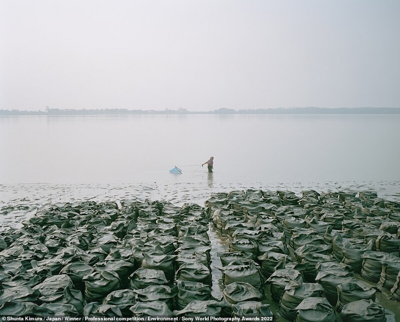 Женщина ловит мелкую рыбу и креветок в Бангладеш. Фотограф Shunta Kimura