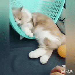 Не тронь меня