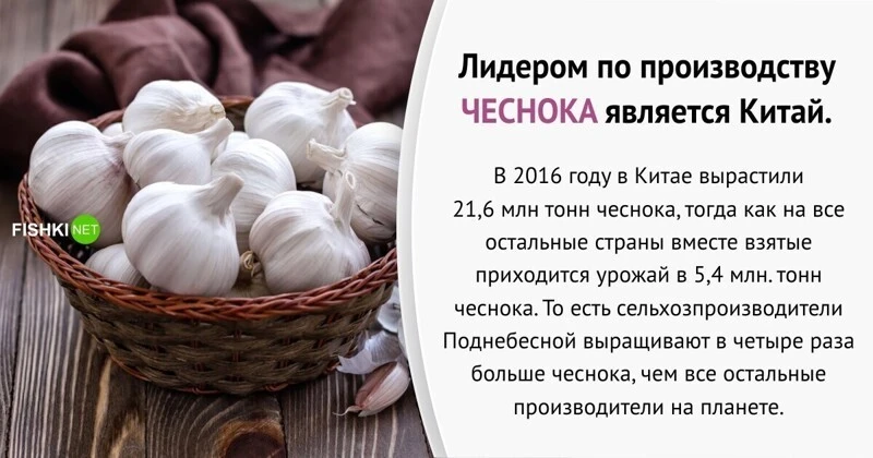 Китай тут. Интересные факты о продуктах. Интересные китайские продукты. Китайская еда 94.