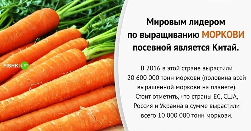 Китай тут. Интересные факты о продуктах. Интересные китайские продукты. Китайская еда 94.