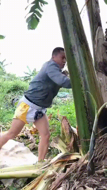 Зачем специальные приспособления, когда есть такие ноги