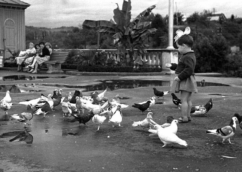 Анапа, Сочи, Геленджик: 20 снимков популярных курортов в эпоху СССР